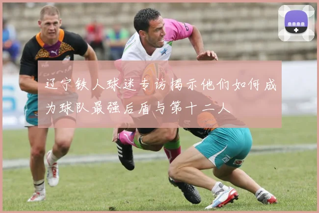 辽宁铁人球迷专访揭示他们如何成为球队最强后盾与第十二人