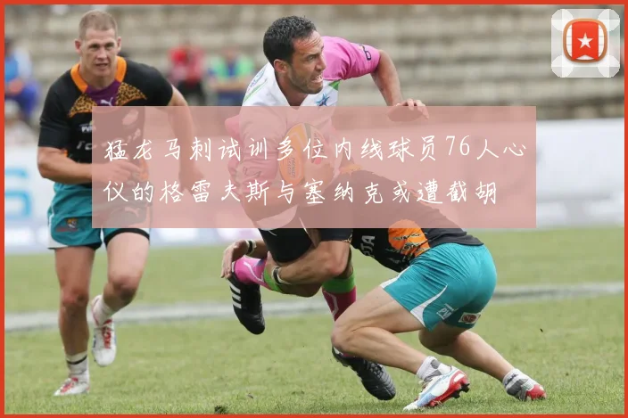 猛龙马刺试训多位内线球员76人心仪的格雷夫斯与塞纳克或遭截胡